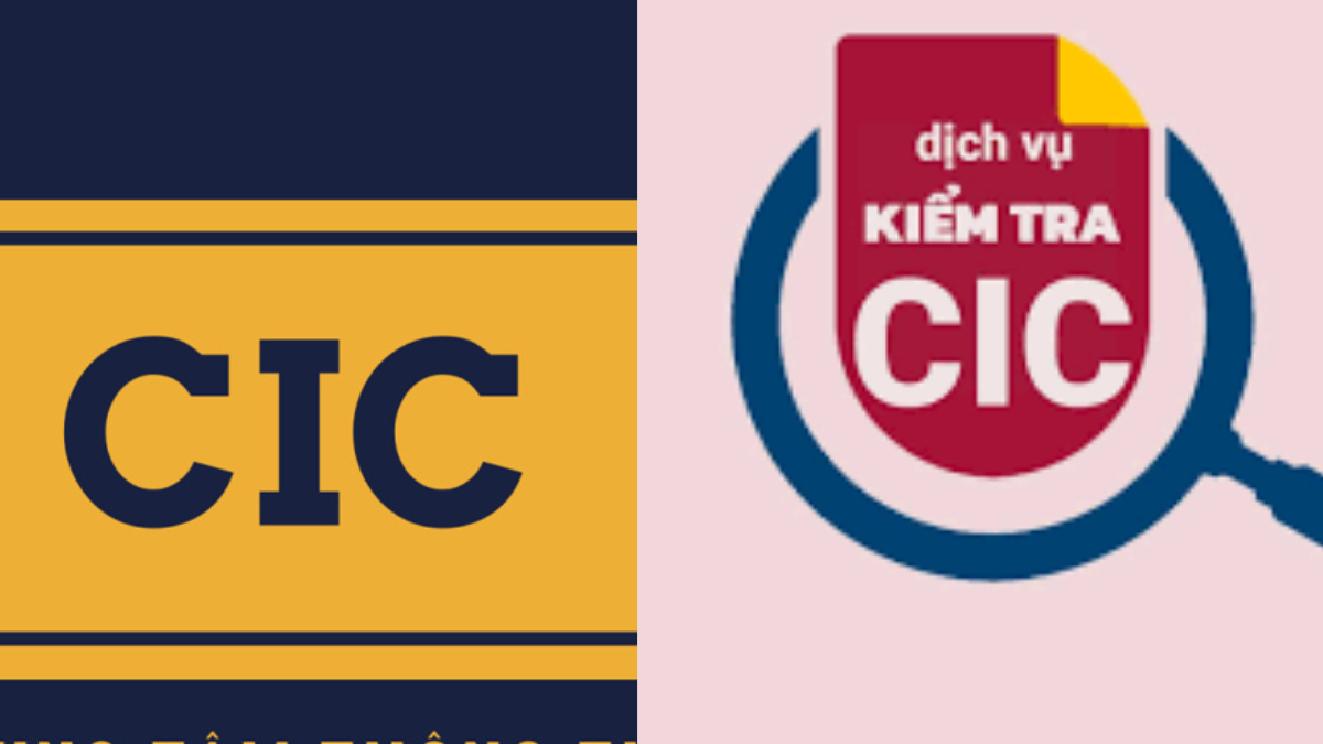 dịch vụ kiểm tra cic